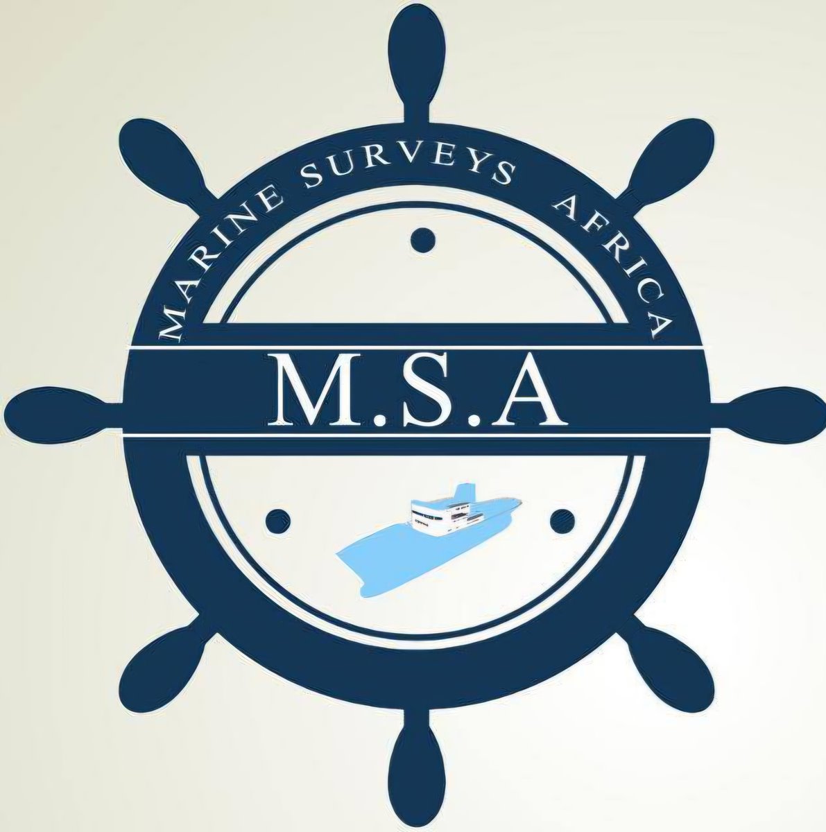 msa.jpg